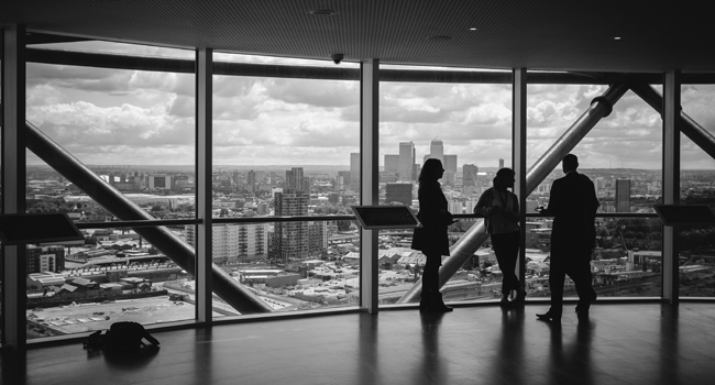 Programa de Apoio ao Empreendedorismo e à Criação do Próprio Emprego